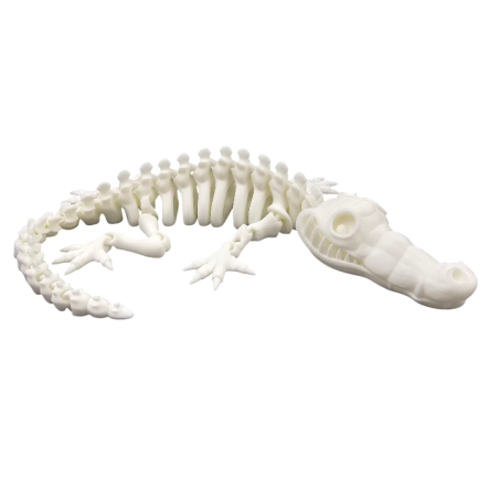 Szkielet krokodyla