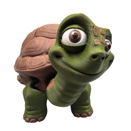 Żółw lądowy schowek G09