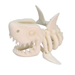 Szkielet rekina mały C11