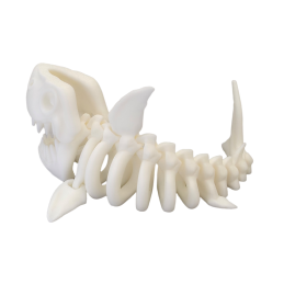 Szkielet rekina mały C11